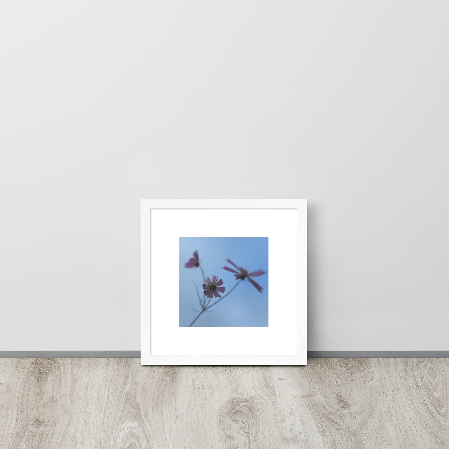 Three Cosmos Flowers Botanical Art – Framed Matte Paper Poster, White Frame, Front View