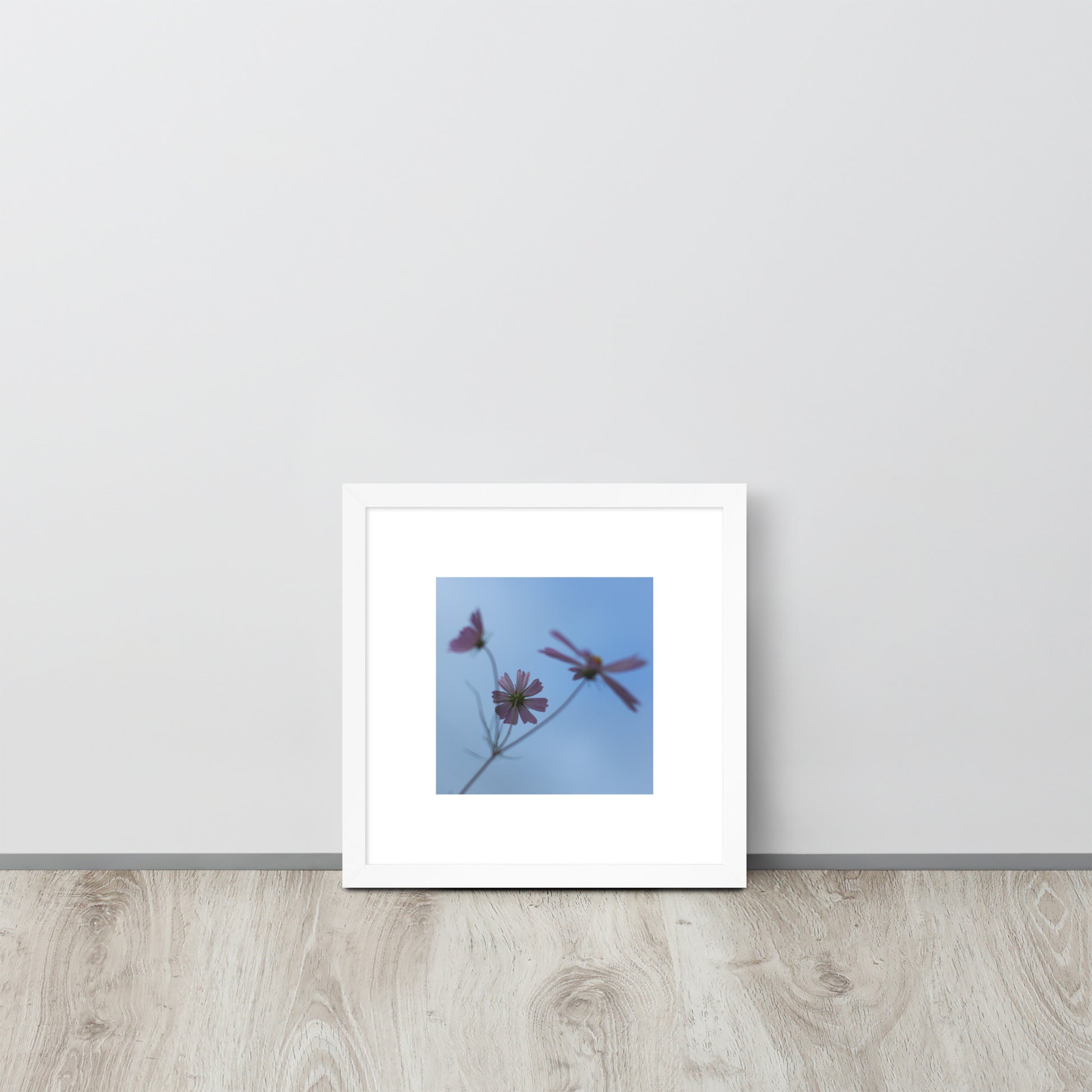Three Cosmos Flowers Botanical Art – Framed Matte Paper Poster, White Frame, Front View