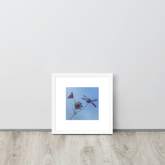 Three Cosmos Flowers Botanical Art – Framed Matte Paper Poster, White Frame, Front View
