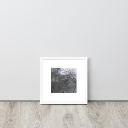 Silver Grass Cluster Botanical B&W Art – Framed Matte Paper Poster, White Frame, Front View