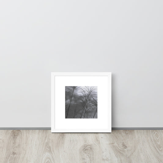 Silver Grass Cluster Botanical B&W Art – Framed Matte Paper Poster, White Frame, Front View