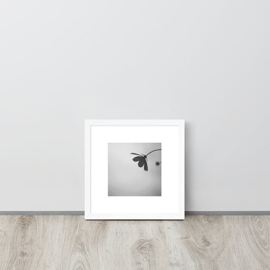 Cosmos Flower Botanical B&W Art – Framed Matte Paper Poster, White Frame, Front View
