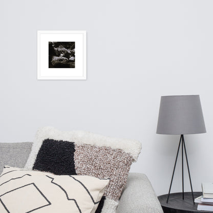 Plant on a Rock (B&W) Art – Framed Matte Paper Poster, White Frame, Lifestyle View