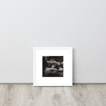 Plant on a Rock (B&W) Art – Framed Matte Paper Poster, White Frame, Lifestyle View