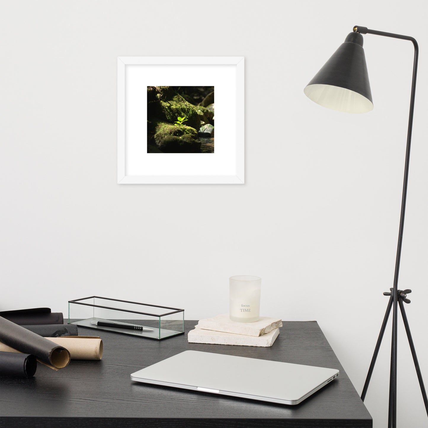 Plant on a Rock Art – Framed Matte Paper Poster, White Frame, Lifestyle View