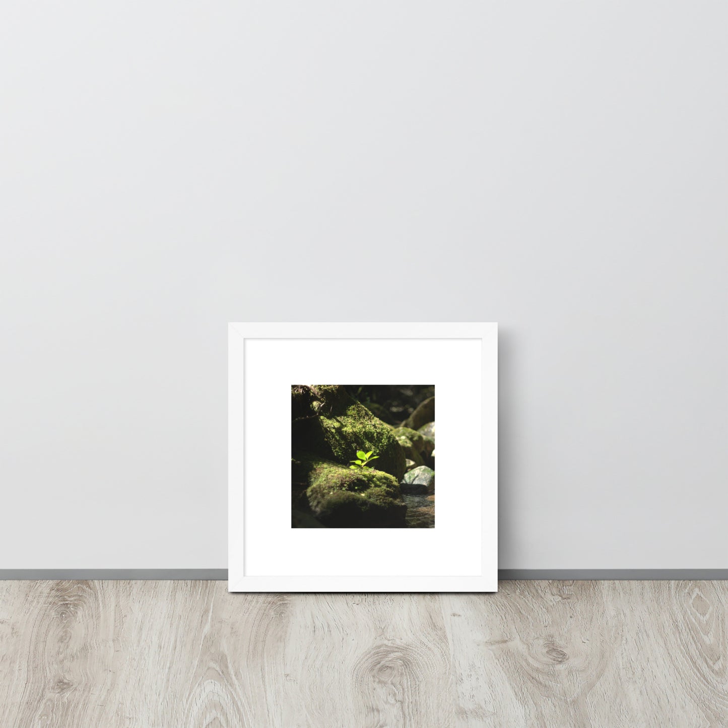 Plant on a Rock Art – Framed Matte Paper Poster, White Frame, Lifestyle View
