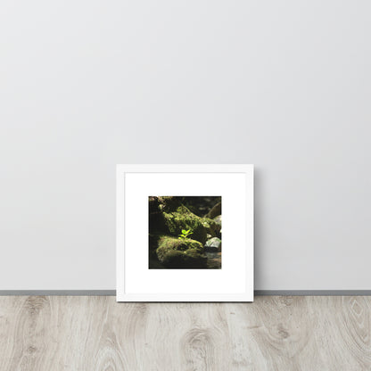 Plant on a Rock Art – Framed Matte Paper Poster, White Frame, Lifestyle View