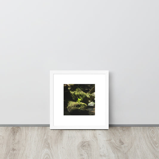 Plant on a Rock Art – Framed Matte Paper Poster, White Frame, Lifestyle View