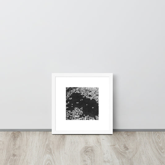 Cherry Blossoms (B&W) Art – Framed Matte Paper Poster, White Frame, Lifestyle View