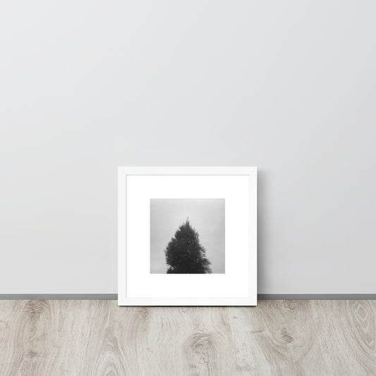 Fog and Trees (B&W) - Framed Matte Paper Poster, White, Front View