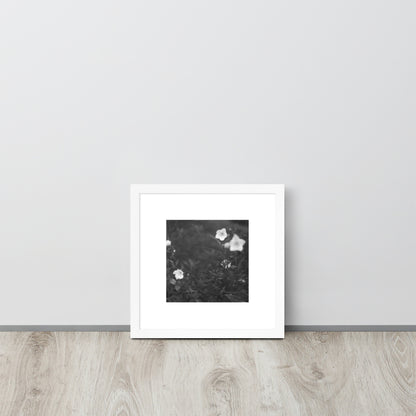 Balloon Flower (B&W) - Framed Matte Paper Poster, White, Front View