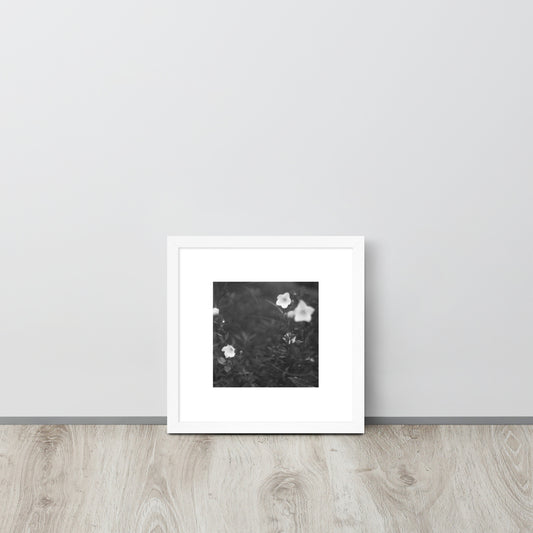 Balloon Flower (B&W) - Framed Matte Paper Poster, White, Front View
