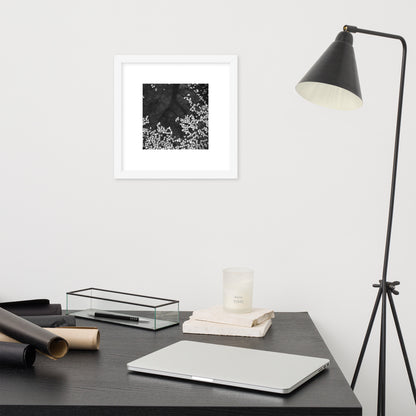Cherry Blossom Petals on Water Surface (B&W) - Framed Matte Paper Poster, White Frame, Front View