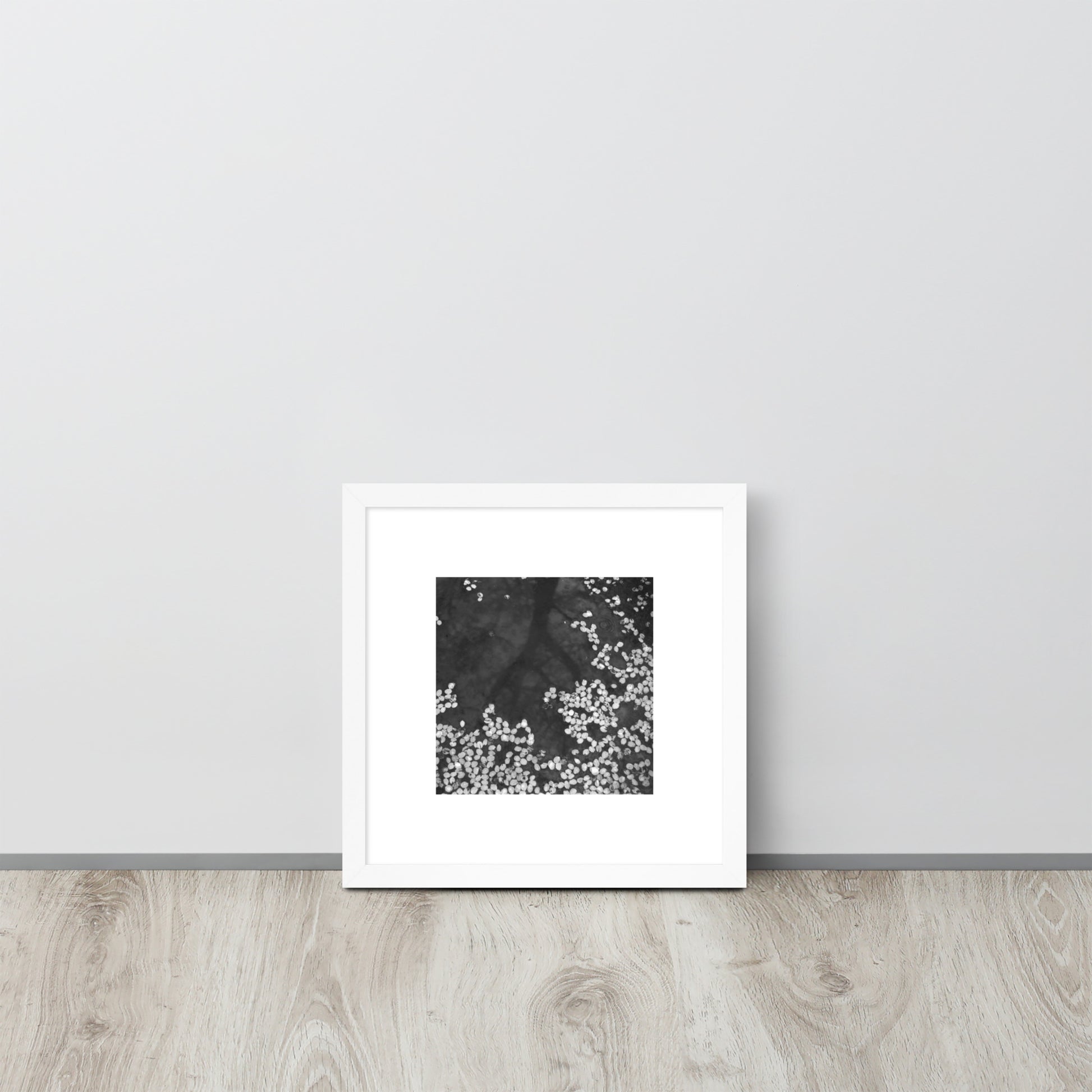 Cherry Blossom Petals on Water Surface (B&W) - Framed Matte Paper Poster, White Frame, Front View