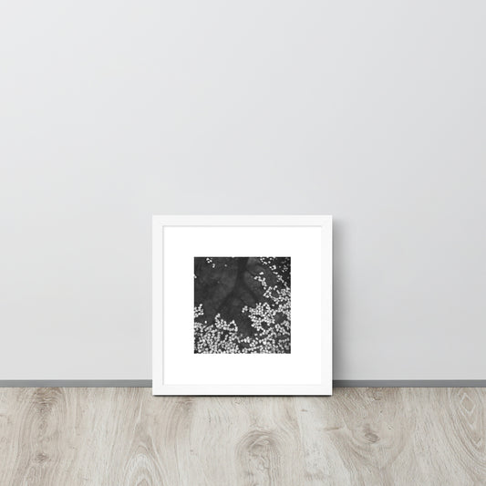 Cherry Blossom Petals on Water Surface (B&W) - Framed Matte Paper Poster, White Frame, Front View