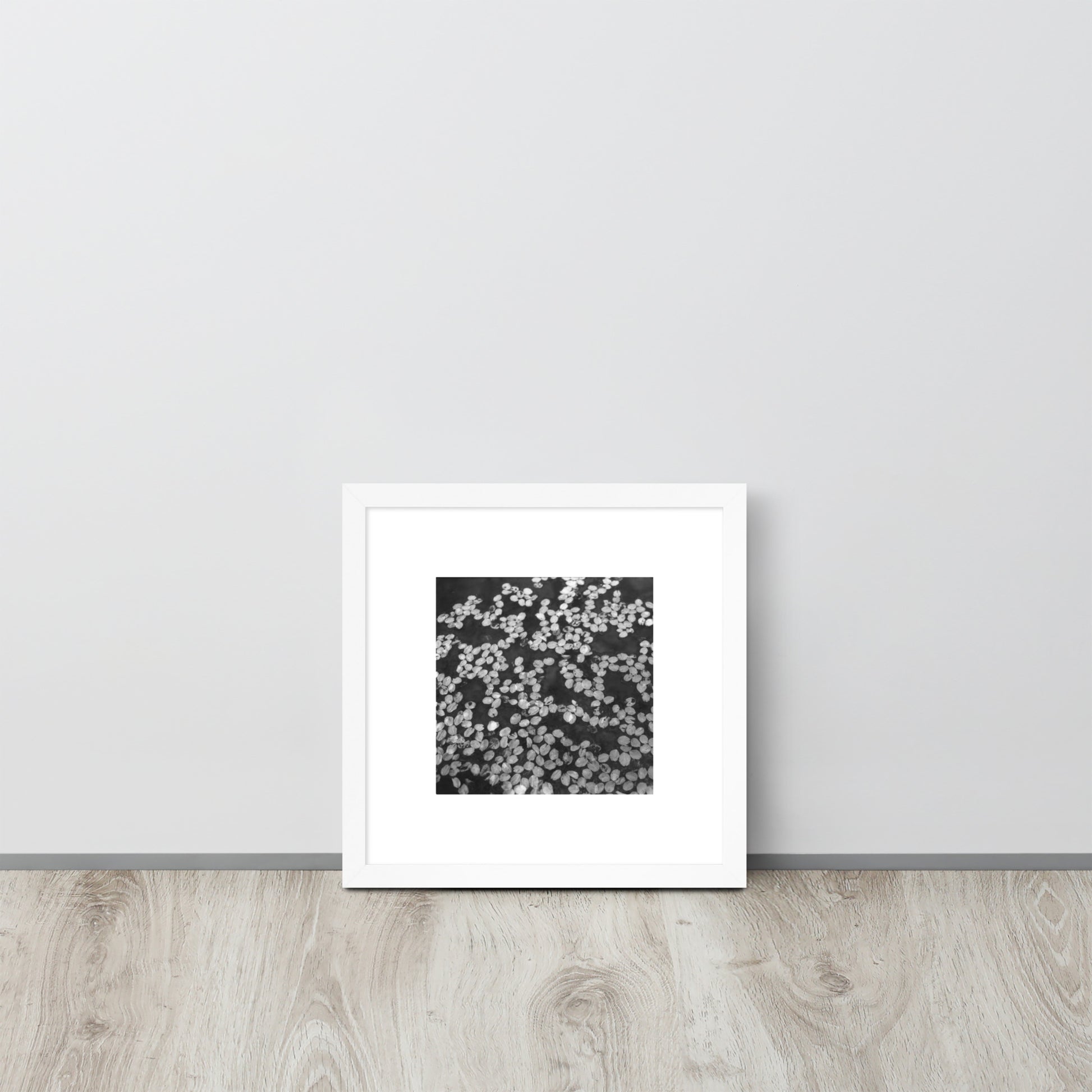 Cherry Blossom Petals in Puddle (B&W) - Framed Matte Paper Poster, White Frame
