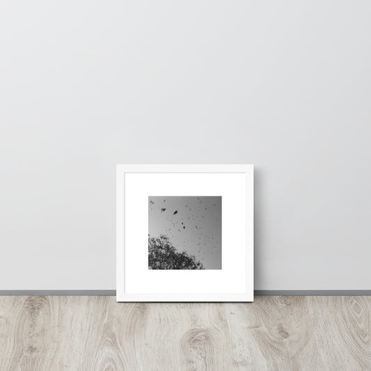Leaves Dancing in Wind (B&W) - Framed Matte Paper Poster White