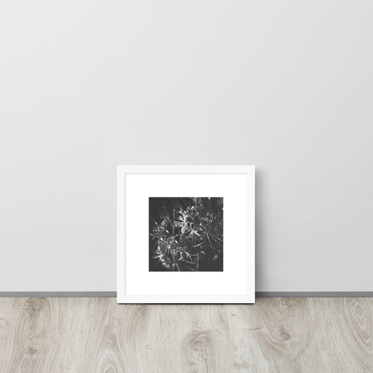 Red Spider Lily (B&W) framed matte paper poster, white frame