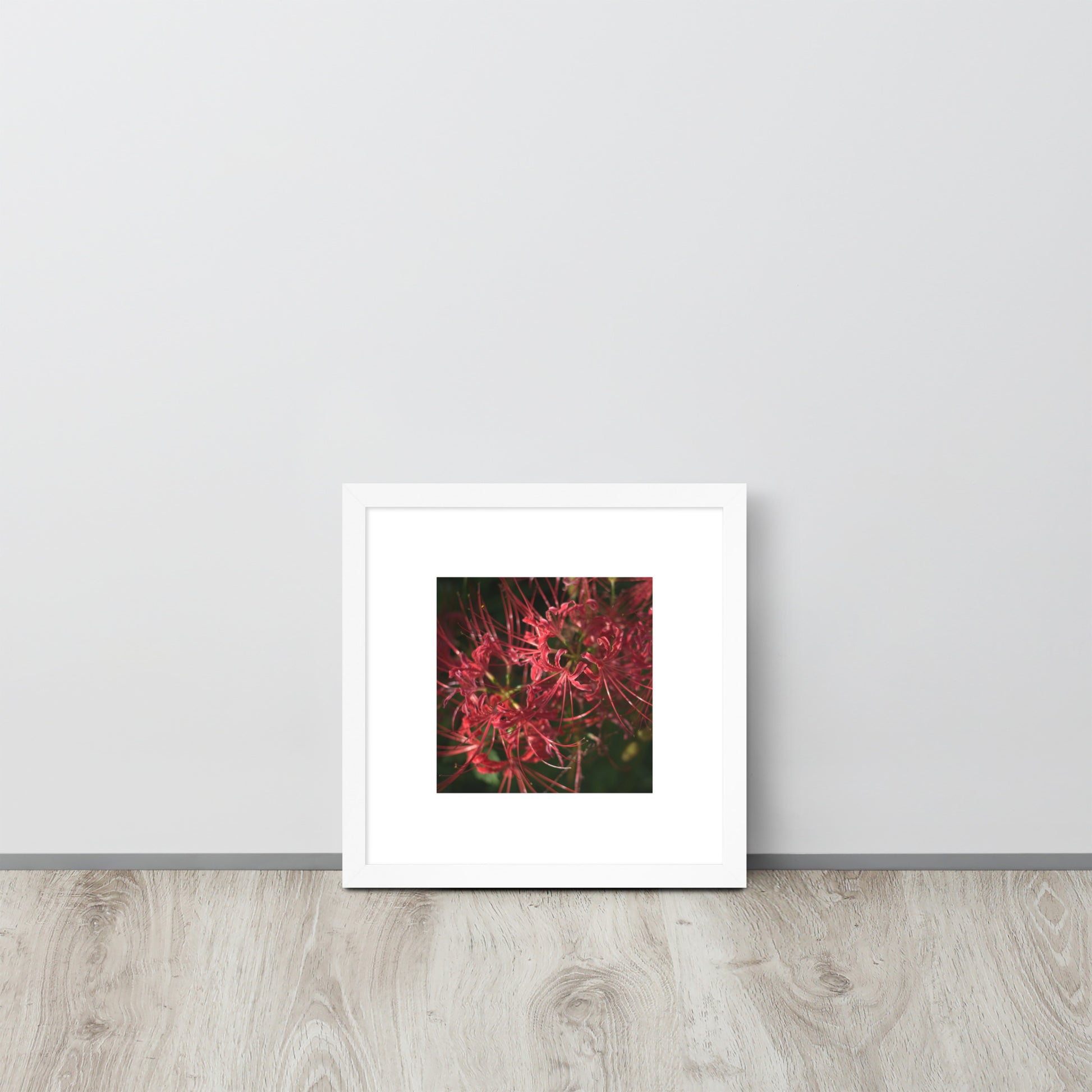 Red Spider Lily framed matte paper poster, white frame