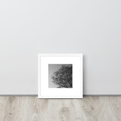 【White】
Minimalist mode style framed matte paper poster with a 'Tree and Wind' black and white photo print and a white frame / モードストリート系ポスター、「木と風」のモノクロ写真プリント（インテリアポスター）