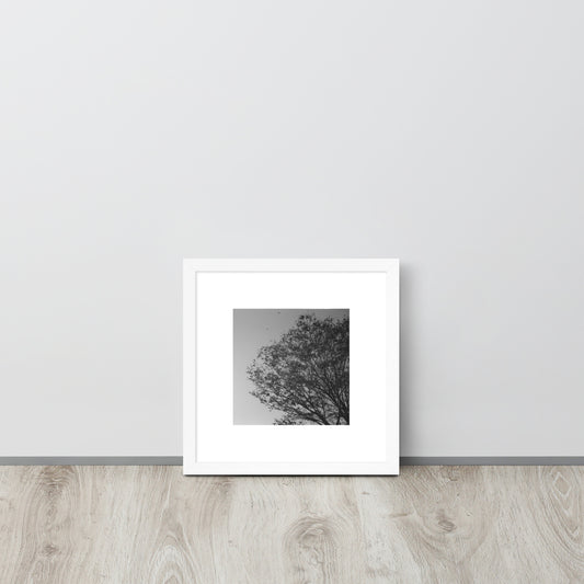 【White】
Minimalist mode style framed matte paper poster with a 'Tree and Wind' black and white photo print and a white frame / モードストリート系ポスター、「木と風」のモノクロ写真プリント（インテリアポスター）