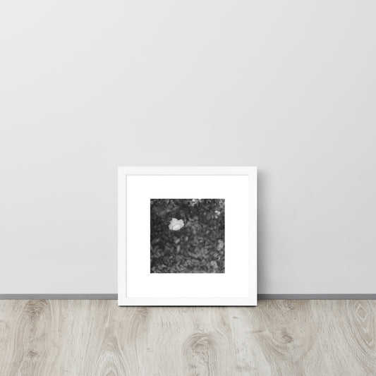 【White Frame】
Minimalist mode style framed matte paper poster with a 'Camellia Flower' black and white photo print and a white frame / モードストリート系フレーム付きポスター（ホワイトフレーム）、「カメリア（椿）」のモノクロ写真プリント（インテリアポスター）