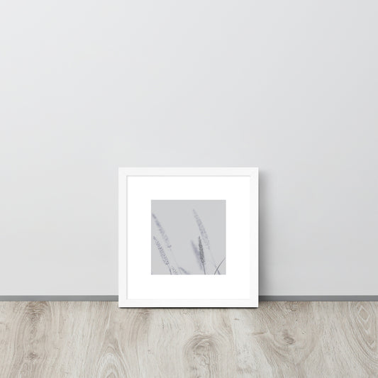 Minimalist mode style framed matte paper poster with a 'Foxtail Grass' print and a white frame / モードストリート系フレーム付きポスター（ホワイトフレーム）、「Foxtail Grass（エノコログサ）」のプリント（壁掛けアート）