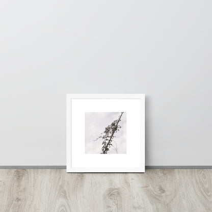 Minimalist mode style framed matte paper poster with a 'Vines Entangled on a Utility Pole' black and white photo print and a white frame / モードストリート系フレーム付きポスター（ホワイトフレーム）、「電柱に絡まるツル」のモノクロ写真プリント（壁掛けアート）