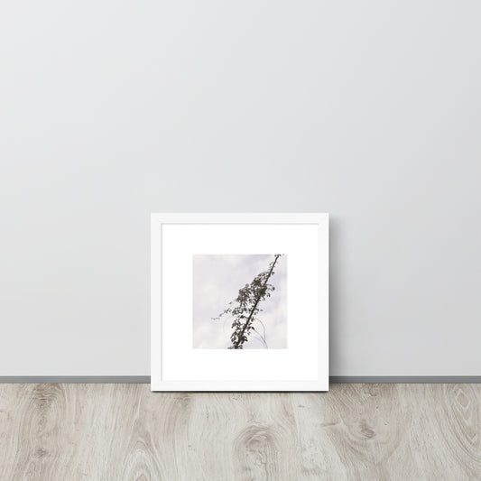 Minimalist mode style framed matte paper poster with a 'Vines Entangled on a Utility Pole' black and white photo print and a white frame / モードストリート系フレーム付きポスター（ホワイトフレーム）、「電柱に絡まるツル」のモノクロ写真プリント（壁掛けアート）