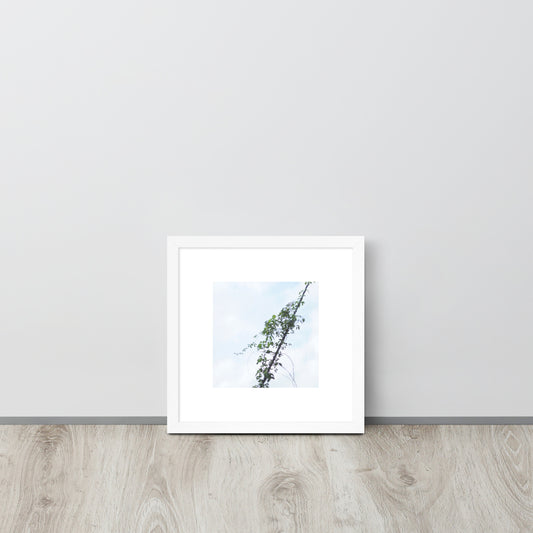 Minimalist mode style framed matte paper poster with a 'Vines Entangled on a Utility Pole' photo print and a white frame / モードストリート系フレーム付きポスター（ホワイトフレーム）、「電柱に絡まるツル」の写真プリント（壁掛けアート）