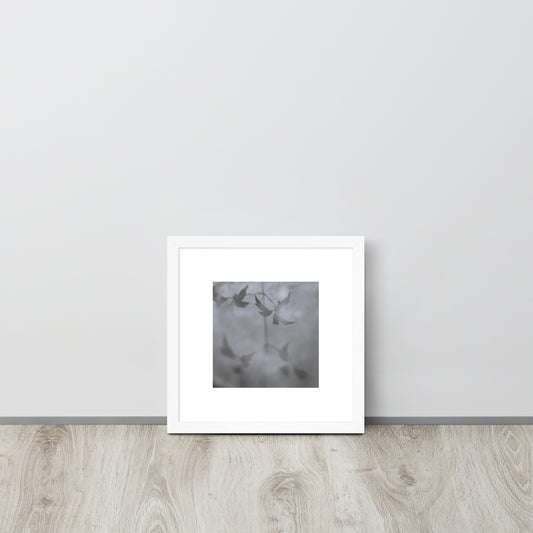 Minimalist mode style framed matte paper poster with a 'Water Surface & Leaves' black and white photo print and white frame / モードストリート系フレーム付きマット紙ポスター、「水面と葉」のモノクロ写真プリント（ホワイトフレーム）