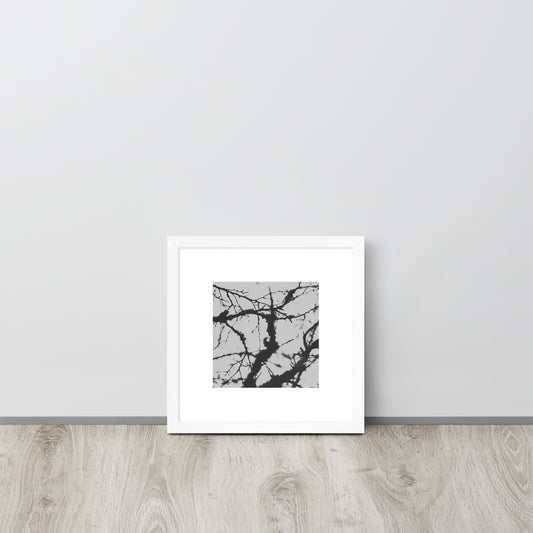 Minimalist mode style framed matte paper poster with a 'Bare Tree' black and white photo print and white frame / モードストリート系フレーム付きマット紙ポスター、「Bare Tree（枯れ木）」のモノクロ写真プリント（ホワイトフレーム）