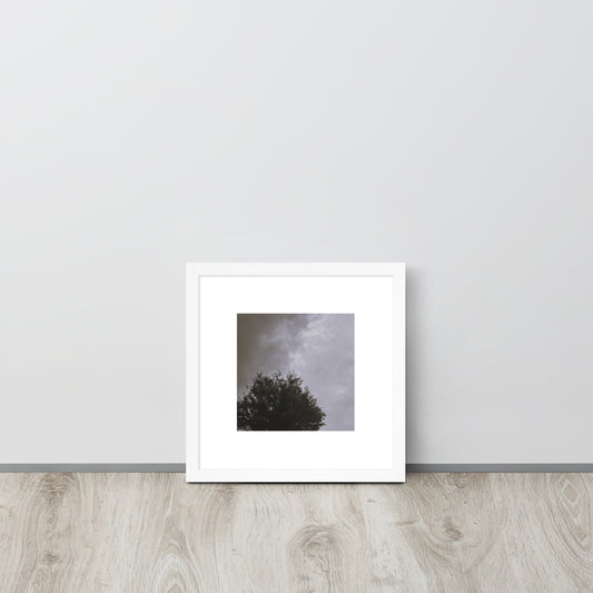 Minimalist mode style framed matte paper poster with a 'Clouds & Tree' black and white photo print and white frame / モードストリート系フレーム付きマット紙ポスター、「Clouds & Tree（雲と木）」のモノクロ写真プリント（ホワイトフレーム）