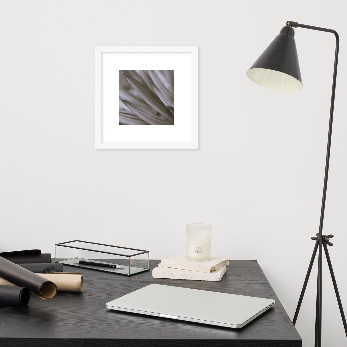 Minimalist style premium wall art featuring a black and white photograph of a Yucca plant, displayed in a sleek matte white frame. A clean, sophisticated piece of botanical home decor, perfect for modern and bright interior design. / モードストリート系インテリアに最適なユッカ植物のモノクロ写真アートポスター。マットホワイトフレーム付きのミニマリスト・デザイン。