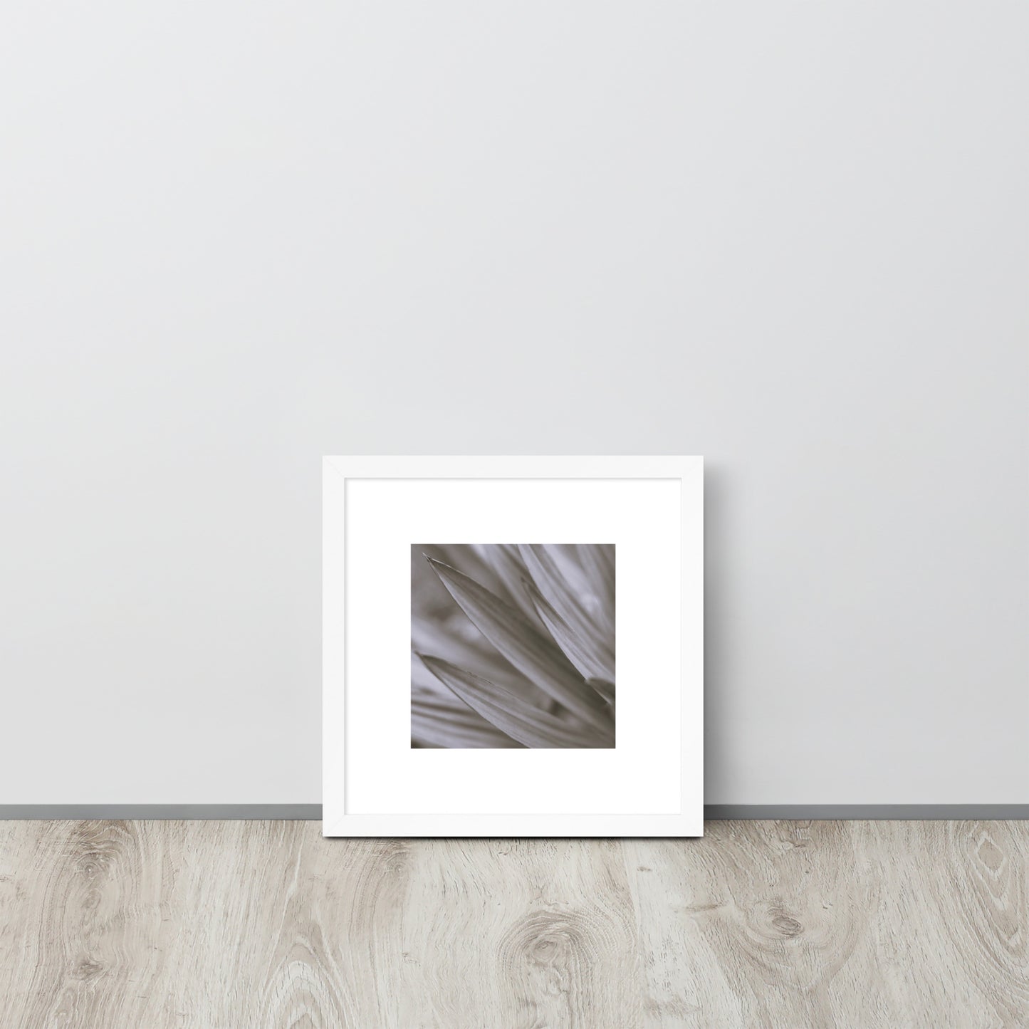 Minimalist style premium wall art featuring a black and white photograph of a Yucca plant, displayed in a sleek matte white frame. A clean, sophisticated piece of botanical home decor, perfect for modern and bright interior design. / モードストリート系インテリアに最適なユッカ植物のモノクロ写真アートポスター。マットホワイトフレーム付きのミニマリスト・デザイン。
