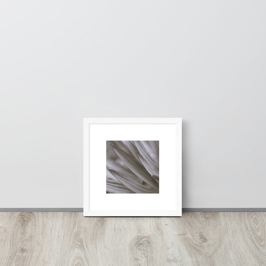 Minimalist style premium wall art featuring a black and white photograph of a Yucca plant, displayed in a sleek matte white frame. A clean, sophisticated piece of botanical home decor, perfect for modern and bright interior design. / モードストリート系インテリアに最適なユッカ植物のモノクロ写真アートポスター。マットホワイトフレーム付きのミニマリスト・デザイン。