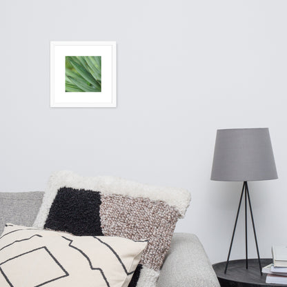 Minimalist streetwear style framed wall art in matte white, featuring a Yucca plant color photograph. Clean, bright botanical decor for modern interior styling. / モードストリート系・マットホワイトフレーム入りユッカ植物のアートポスター。明るく洗練されたモダンな空間を演出するミニマリスト・デザイン。
