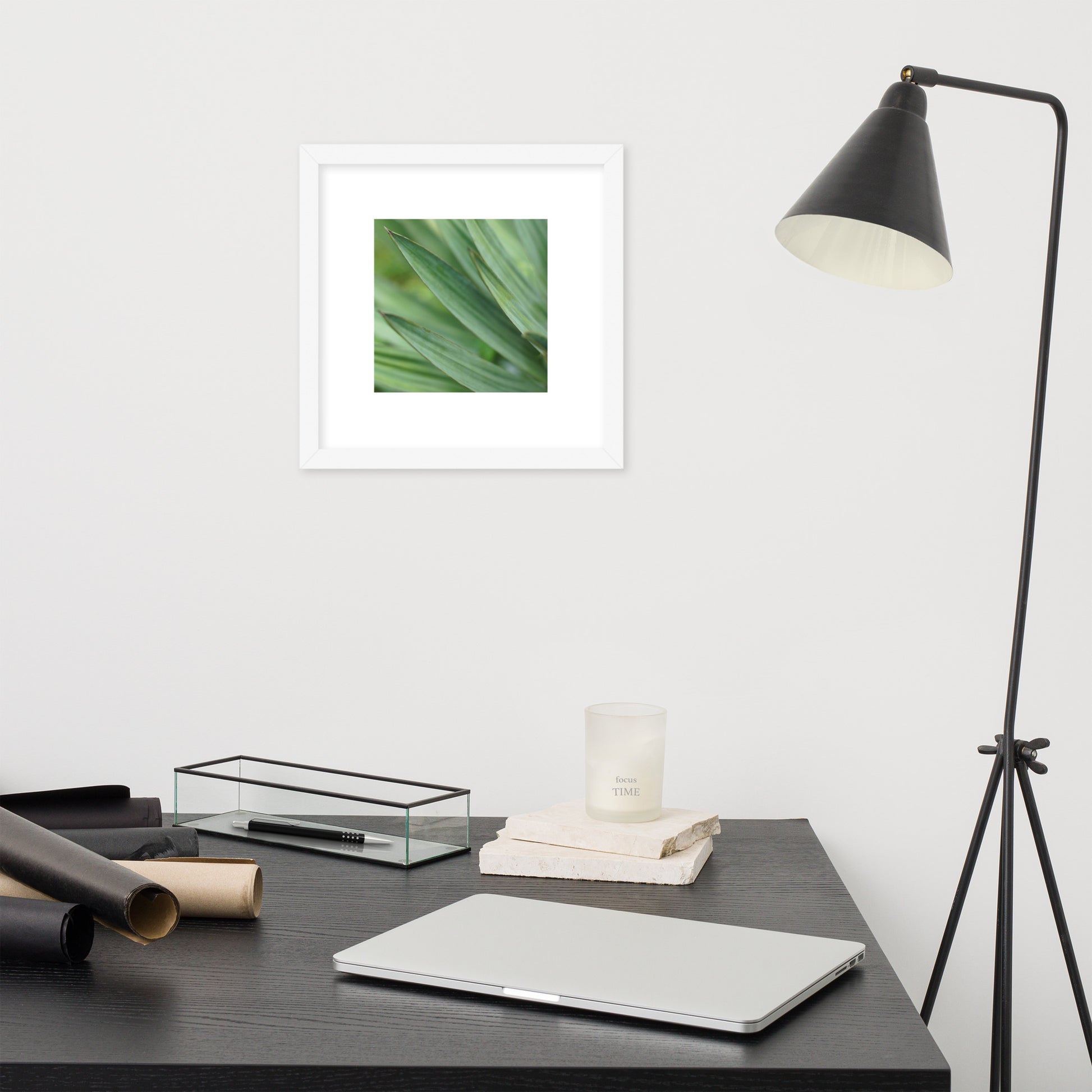 Minimalist streetwear style framed wall art in matte white, featuring a Yucca plant color photograph. Clean, bright botanical decor for modern interior styling. / モードストリート系・マットホワイトフレーム入りユッカ植物のアートポスター。明るく洗練されたモダンな空間を演出するミニマリスト・デザイン。