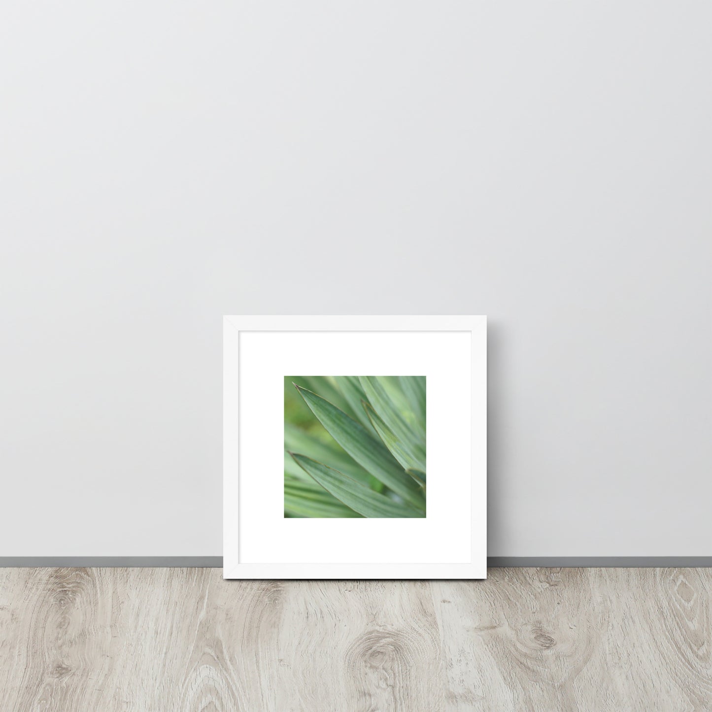 Minimalist streetwear style framed wall art in matte white, featuring a Yucca plant color photograph. Clean, bright botanical decor for modern interior styling. / モードストリート系・マットホワイトフレーム入りユッカ植物のアートポスター。明るく洗練されたモダンな空間を演出するミニマリスト・デザイン。