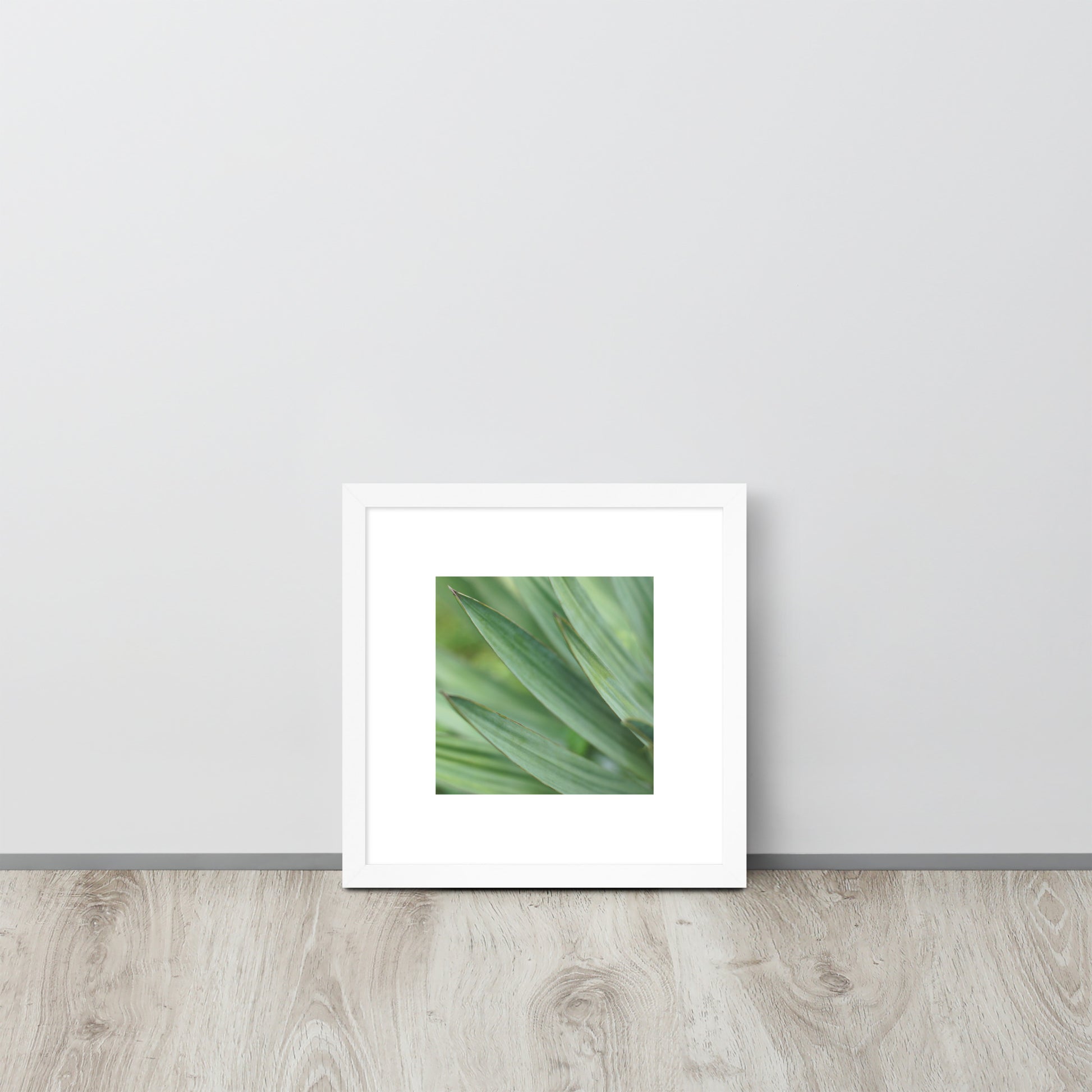 Minimalist streetwear style framed wall art in matte white, featuring a Yucca plant color photograph. Clean, bright botanical decor for modern interior styling. / モードストリート系・マットホワイトフレーム入りユッカ植物のアートポスター。明るく洗練されたモダンな空間を演出するミニマリスト・デザイン。