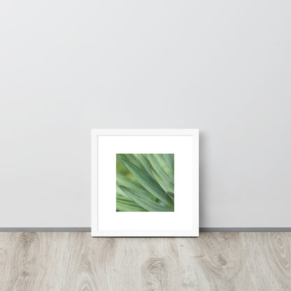 Minimalist streetwear style framed wall art in matte white, featuring a Yucca plant color photograph. Clean, bright botanical decor for modern interior styling. / モードストリート系・マットホワイトフレーム入りユッカ植物のアートポスター。明るく洗練されたモダンな空間を演出するミニマリスト・デザイン。