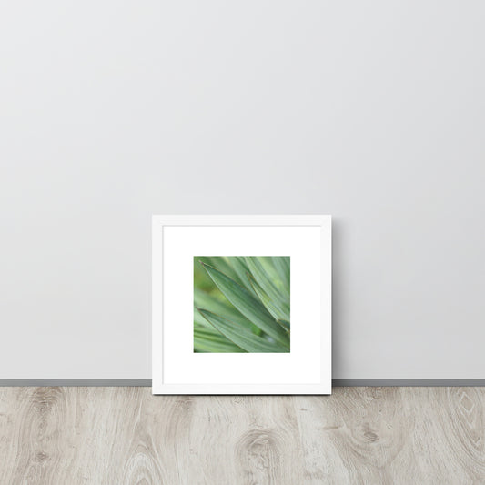 Minimalist streetwear style framed wall art in matte white, featuring a Yucca plant color photograph. Clean, bright botanical decor for modern interior styling. / モードストリート系・マットホワイトフレーム入りユッカ植物のアートポスター。明るく洗練されたモダンな空間を演出するミニマリスト・デザイン。
