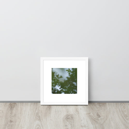 Minimalist streetwear style framed wall art in matte white, featuring a 'Tree Branches' botanical photograph. / Tree Branches 額装ポスター（ホワイトフレーム）：クリーンな白枠がモダンな空間を演出する、モードストリート系ミニマリスト・インテリアアート。