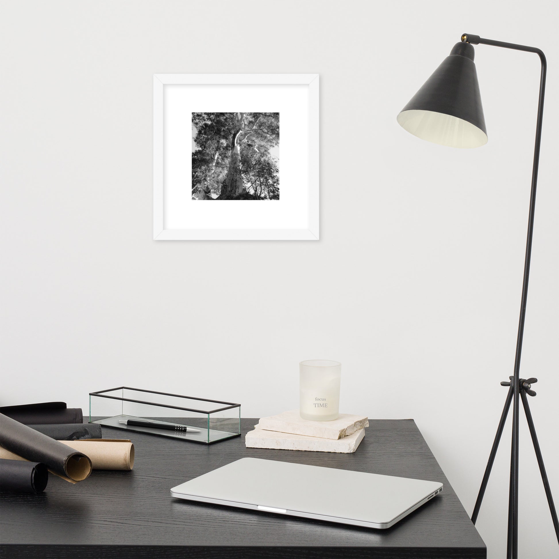 Minimalist streetwear style framed matte paper poster in white frame featuring the 'Eucalyptus Tree (B&W)' photo art. / モードストリート系フレーム付きマットペーパーポスター（ホワイトフレーム）：「ユーカリの木（モノクロ）」のフォトアートを配したデザイン。