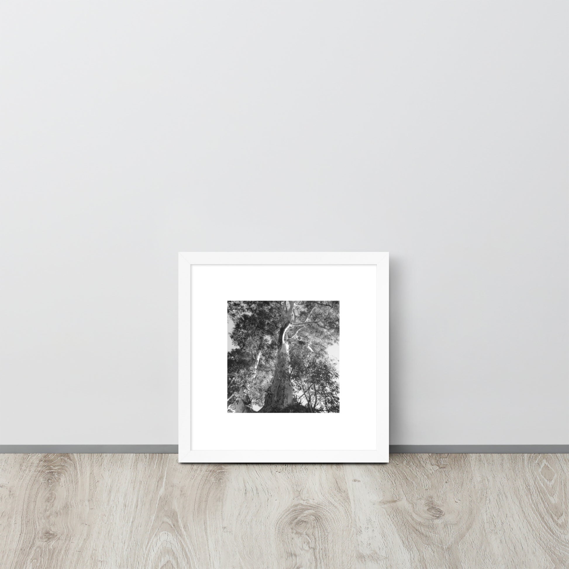 Minimalist streetwear style framed matte paper poster in white frame featuring the 'Eucalyptus Tree (B&W)' photo art. / モードストリート系フレーム付きマットペーパーポスター（ホワイトフレーム）：「ユーカリの木（モノクロ）」のフォトアートを配したデザイン。