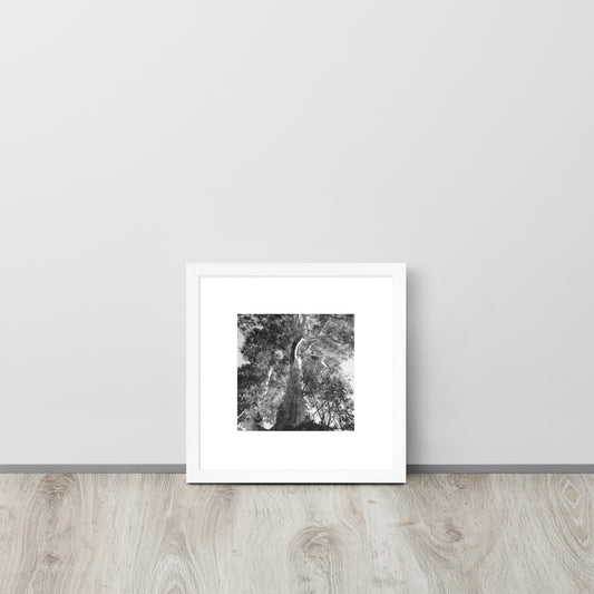 Minimalist streetwear style framed matte paper poster in white frame featuring the 'Eucalyptus Tree (B&W)' photo art. / モードストリート系フレーム付きマットペーパーポスター（ホワイトフレーム）：「ユーカリの木（モノクロ）」のフォトアートを配したデザイン。