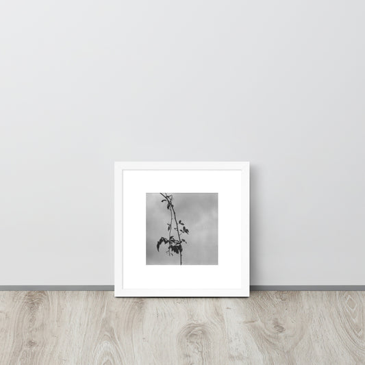 Minimalist streetwear style framed matte paper poster in white frame featuring the 'Tree Branches (B&W)' photo art. / モードストリート系フレーム付きマットペーパーポスター（ホワイトフレーム）：「木の枝（モノクロ）」のフォトアートを配したデザイン。