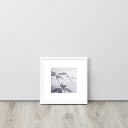 Minimalist art framed matte paper poster in white frame featuring the 'Botanical (B&W)' photo art. / フレーム付きマットペーパーポスター（ホワイトフレーム）：「ボタニカル (モノクロ)」のフォトアートを配したミニマリストデザイン。