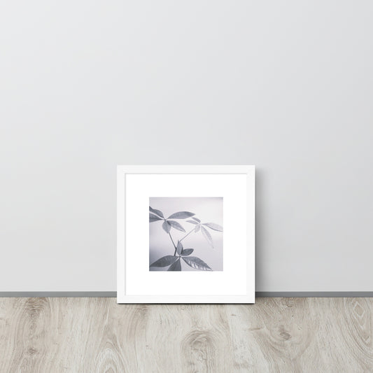 Minimalist art framed matte paper poster in white frame featuring the 'Botanical (B&W)' photo art. / フレーム付きマットペーパーポスター（ホワイトフレーム）：「ボタニカル (モノクロ)」のフォトアートを配したミニマリストデザイン。
