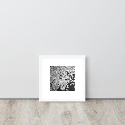 Minimalist art framed matte paper poster in white frame featuring the 'Ginkgo Biloba (B&W)' photo art. / フレーム付きマットペーパーポスター（ホワイトフレーム）：「イチョウ (モノクロ)」のフォトアートを配したミニマリストデザイン。